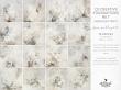 CU Creative Foundations No 7 Iridescent Frost by A Whimsical Adventure available at Oscraps.