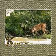 Digital scrapbook layout by JaneDee using "Our World" collection