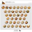 Cornucopia Flair for Digital Art Preview by Vicki Robiinson