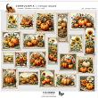 Cornucopia Vintage Images for Digital Art Preview by Vicki Robiinson