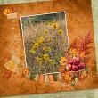 Pieces of Autumn by Angelle Designs