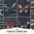 Curiosity Cabinet No 2 Threaded Moths by A Whimsical Adventure at Oscraps