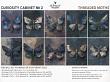 Curiosity Cabinet No 2 Threaded Moths by A Whimsical Adventure at Oscraps