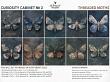 Curiosity Cabinet No 2 Threaded Moths by A Whimsical Adventure at Oscraps