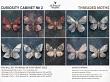 Curiosity Cabinet No 2 Threaded Moths by A Whimsical Adventure at Oscraps