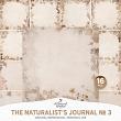 The Naturalist's Journal No 3 Natural Impressions by A Whimsical Adventure at Oscraps