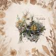 The Naturalist's Journal No 3 Natural Impressions by A Whimsical Adventure at Oscraps | CT Page