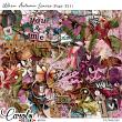oscraps-WhenAutumnLeaves-kit