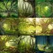 Mother Earth {Forest Paths} by Mixed Media by Erin Contents