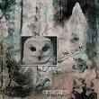 Aesthetic Photos No 11 Haunted Forest by A Whimsical Adventure at Oscraps | Page Design