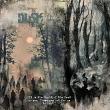 Aesthetic Photos No 11 Haunted Forest by A Whimsical Adventure at Oscraps | Page Design