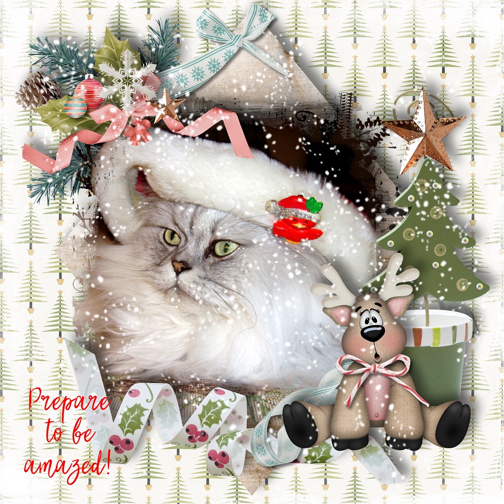 This is Me December by Karen Schulz Designs Digital Art Layout 02 by Laureen