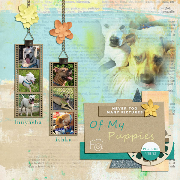 Picture This by Vicki Robinson Digital Art Layout 14 bt Scribbler