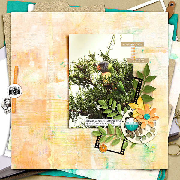 Picture This by Vicki Robinson Digital Art Layout 18 by Wombat146