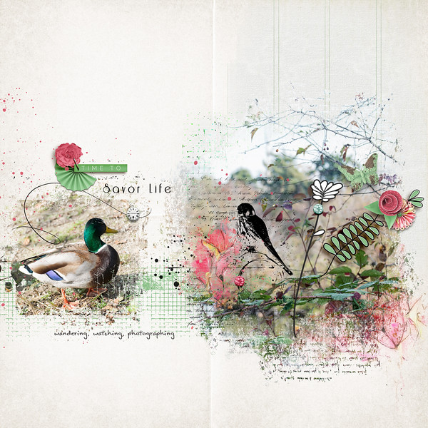 Time to Renew by Vicki Robinson Sample Layout 19