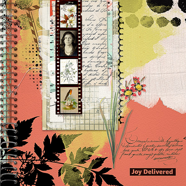Junque Journal O2 Digital Scrapbook by Vicki Robinson Sample Page by Diane 01