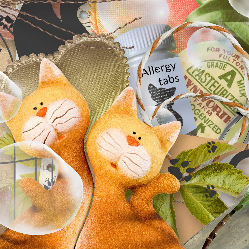Love My Cat Digital Scrapbook Collection Detail Preview 1 by Karen Schulz Designs