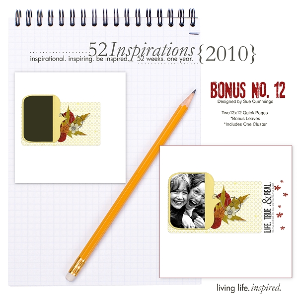 suec-52-BONUS-12-600.jpg