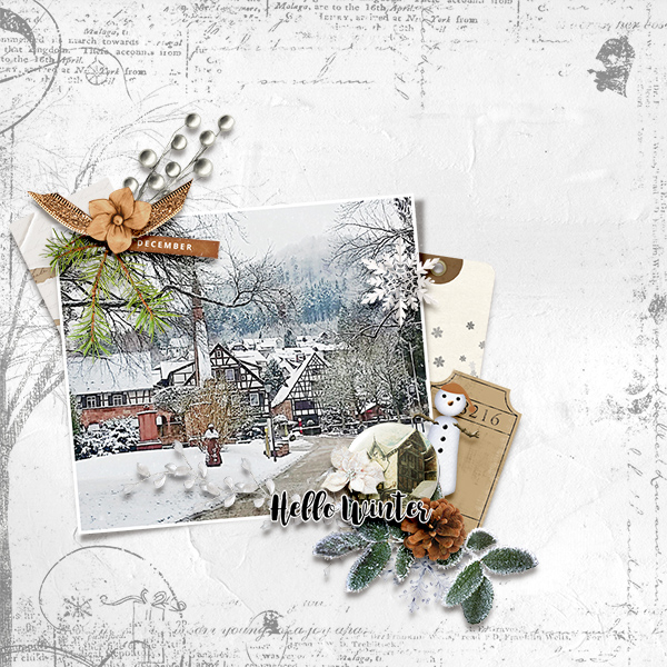 mories Winter by Vicki Robinson. Digital scrapbook layout by Sylvia 2