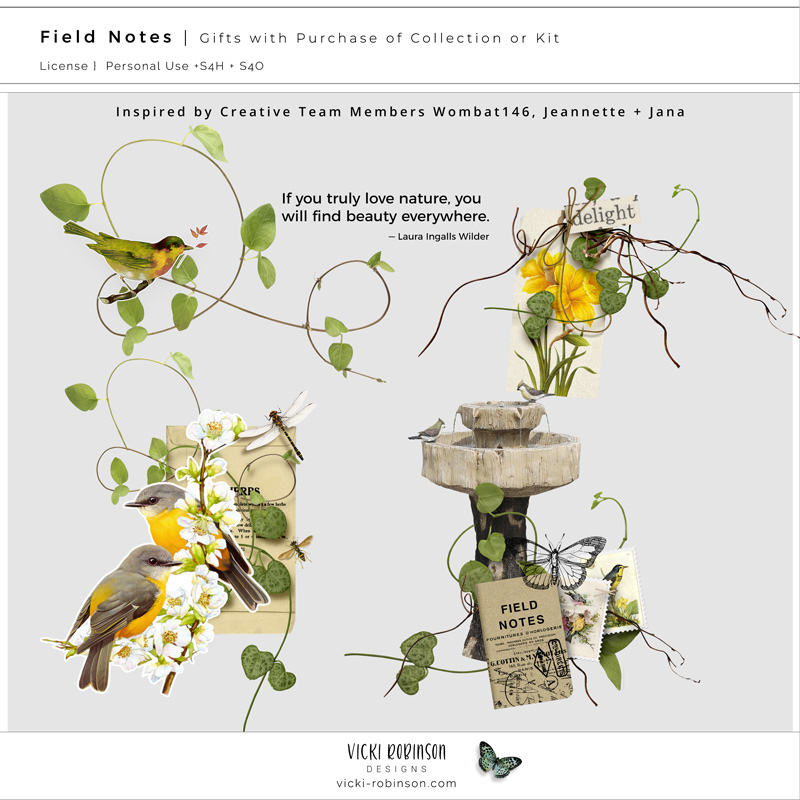 Field Notes Digital Art Gift with Purchase of Collection or Kit Preview by Vicki Robinson