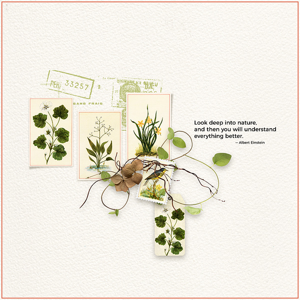 Field Notes by Vicki Robinson. Digital scrapbook layout 2 by Gina