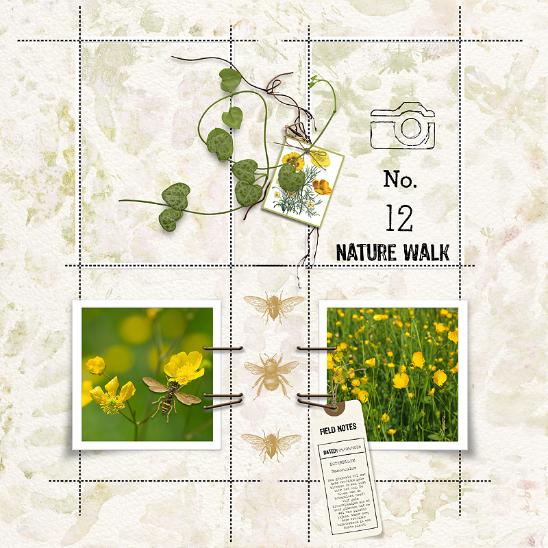 Field Notes by Vicki Robinson. Digital scrapbook layout by Marijke