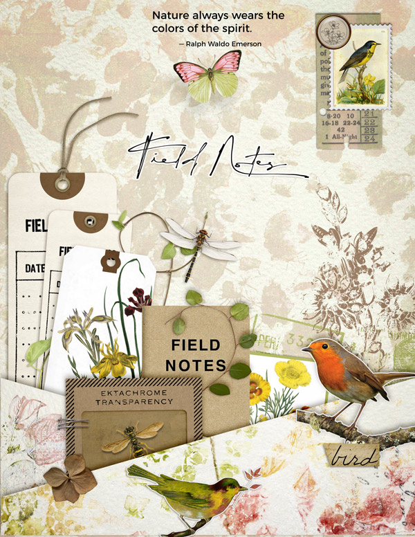 Field Notes by Vicki Robinson. Digital scrapbook layout by Oldenmeade