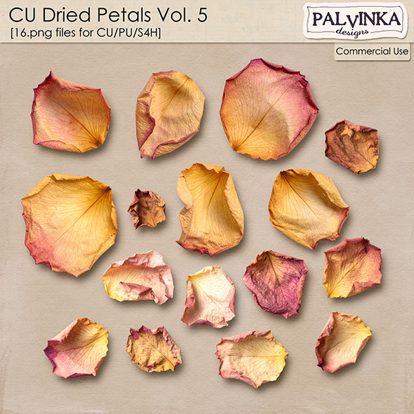 CU Dried Petals 5