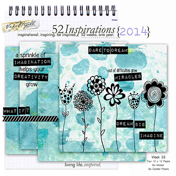 52 Inspirations 2014 - week 38