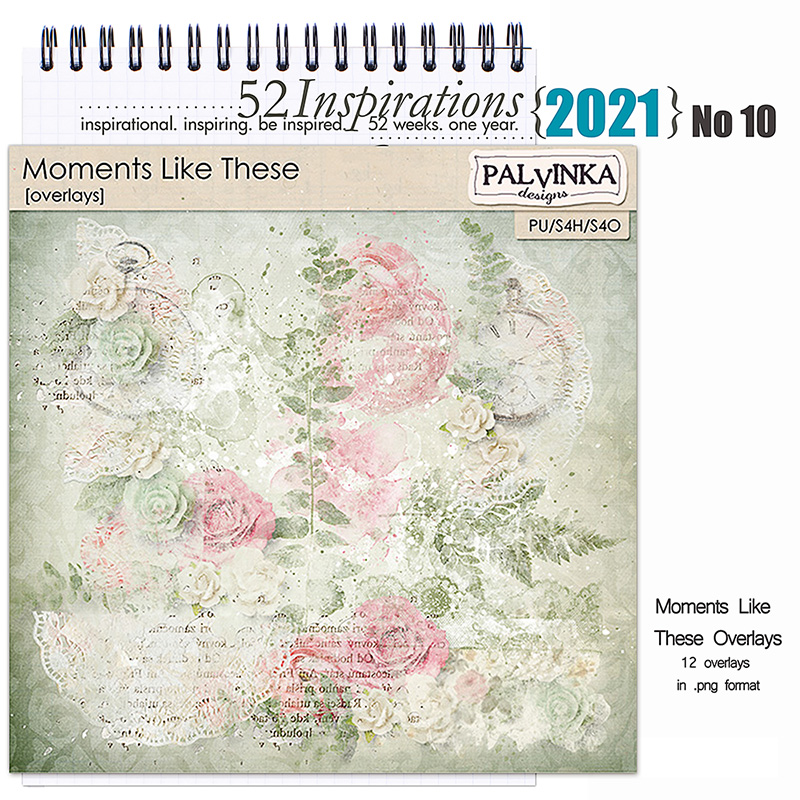 52 Inspirations 2021 No 10 Moments Like These Overlays by Palvinka