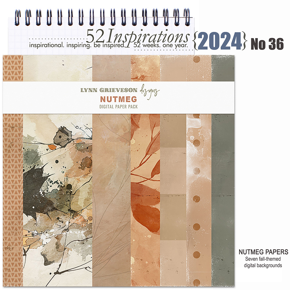 52 Inspirations 2024 No 36 Nutmeg Papers by Lynn Grieveson