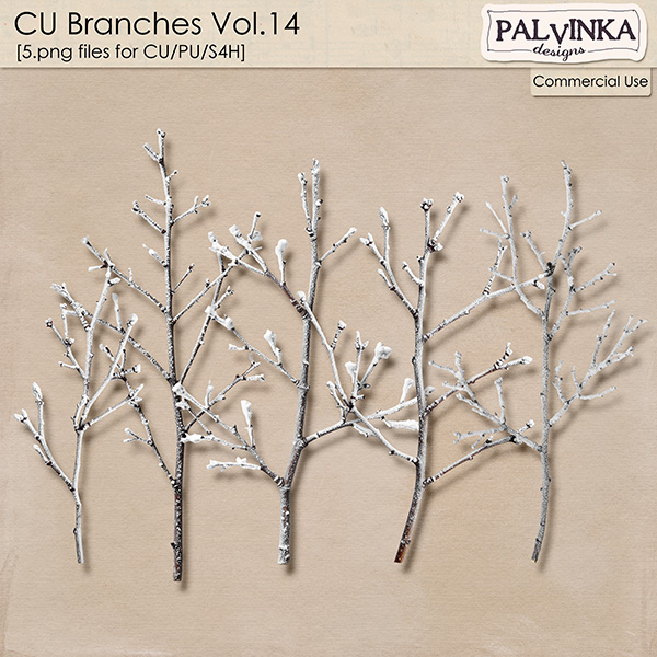 CU Branches 14