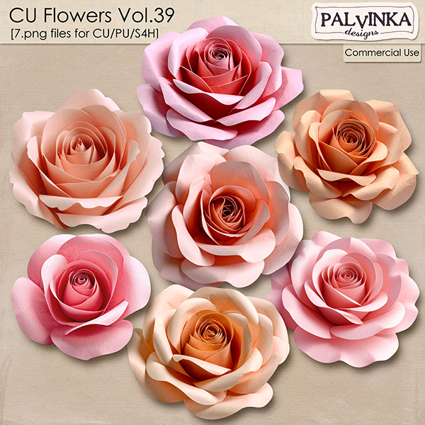 CU Flowers 39