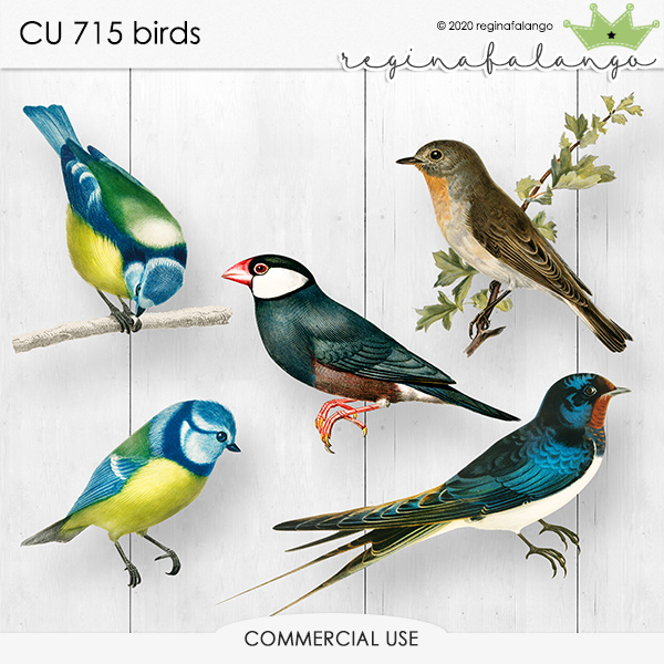 CU 715 BIRDS  