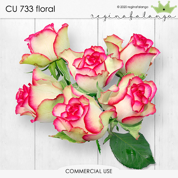 CU 733 FLORAL