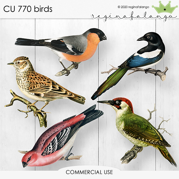CU 770 BIRDS