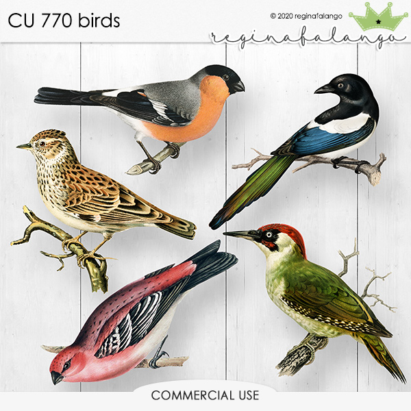 CU 770 BIRDS CU 770 BIRDS