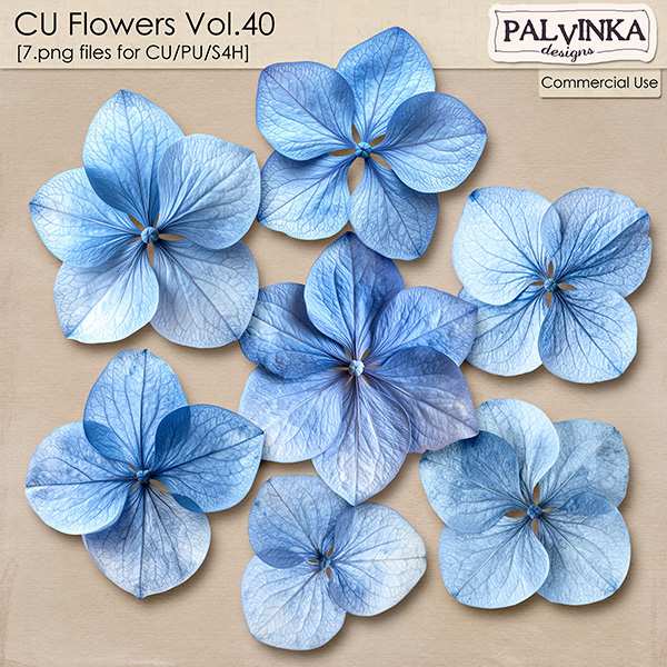 CU Flowers 40