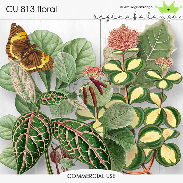 CU 813 FLORAL 