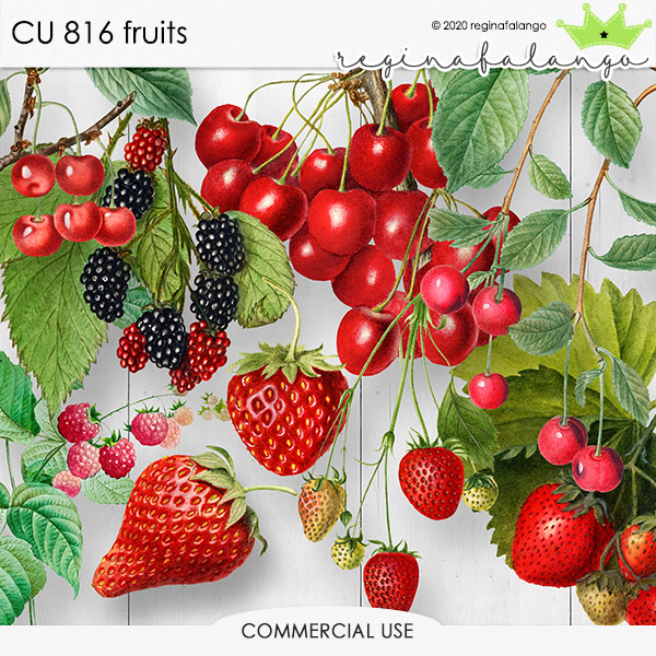 CU 816 FRUITS