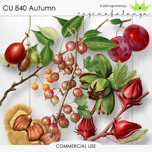 CU 840 AUTUMN 