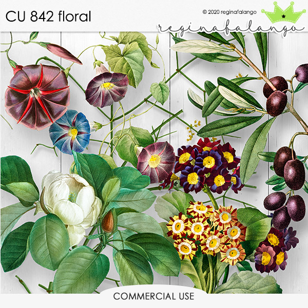 CU 842 FLORAL