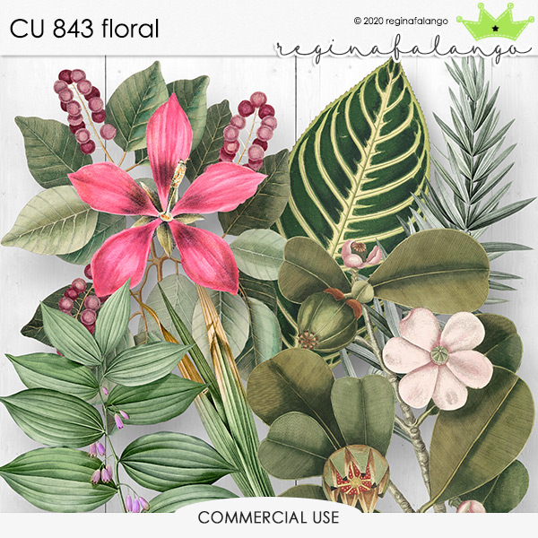 CU 843 FLORAL