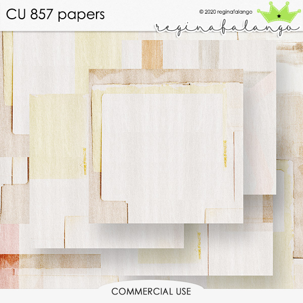 CU 857 PAPERS