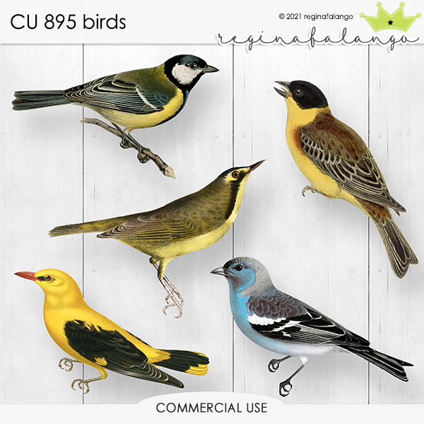 CU 895 BIRDS