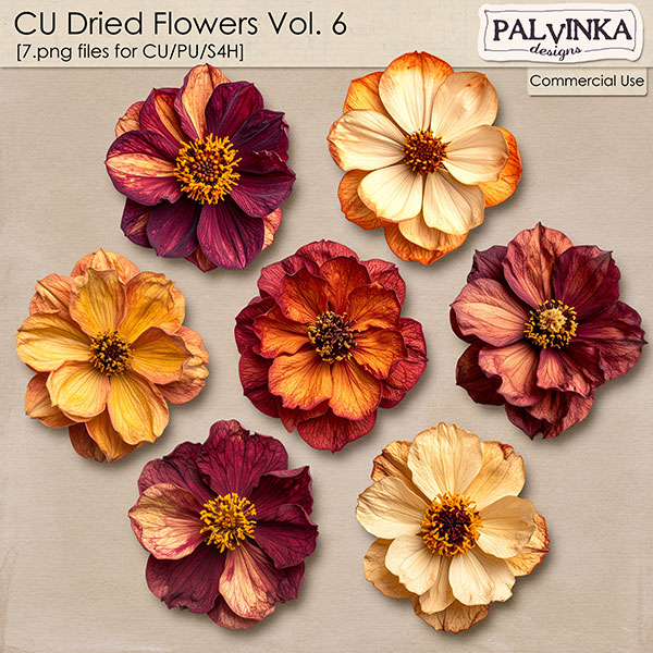 CU Dried Flowers 6