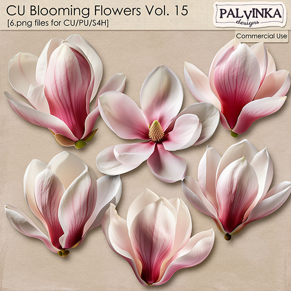 CU Blooming Flowers 15