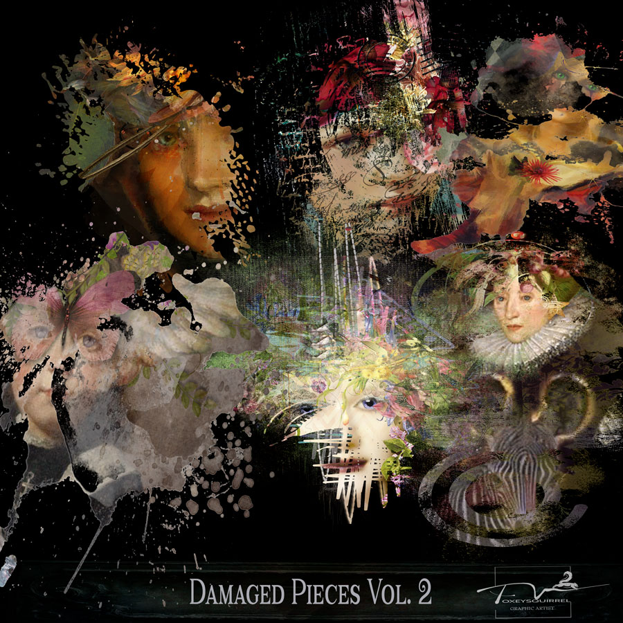 Damaged Pieces Vol  2