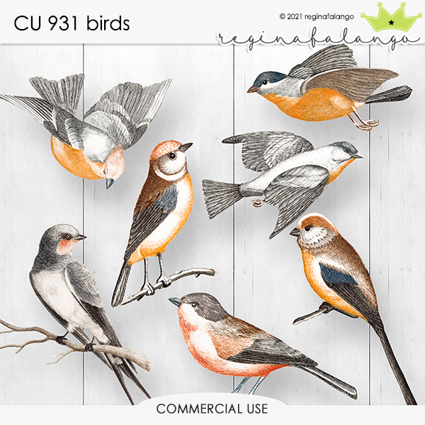 CU 931 BIRDS