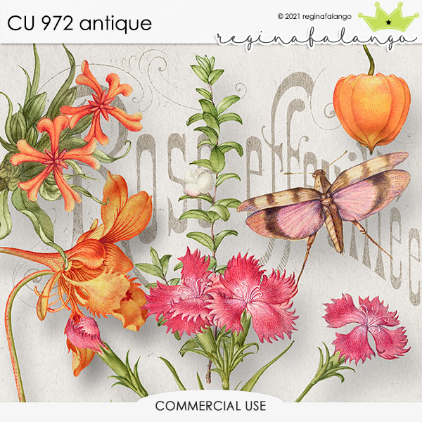 CU 972 ANTIQUE